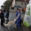 phoca_thumb_m_10-lat-mimo-wszystko_000