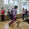 phoca_thumb_m_251_10
