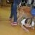 phoca_thumb_s_251_1