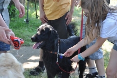 phoca_thumb_l_ama-deum-8.07.2013_10