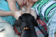 phoca_thumb_l_ama-deum-8.07.2013_12