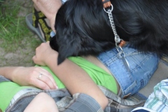 phoca_thumb_l_ama-deum-8.07.2013_14