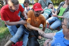 phoca_thumb_l_ama-deum-8.07.2013_16