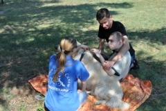 phoca_thumb_l_ama-deum-8.07.2013_17