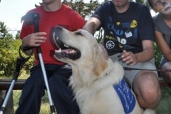 phoca_thumb_l_ama-deum-8.07.2013_2