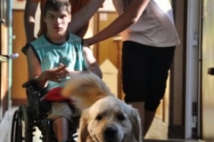 phoca_thumb_l_ama-deum-8.07.2013_26