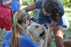 phoca_thumb_l_ama-deum-8.07.2013_3