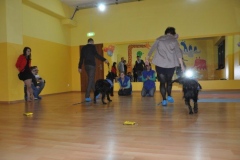 phoca_thumb_l_bal-w-centrum-taca-i-zabawy-twister_020