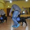 phoca_thumb_m_bal-w-centrum-taca-i-zabawy-twister_015