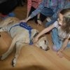 phoca_thumb_m_bal-w-centrum-taca-i-zabawy-twister_016