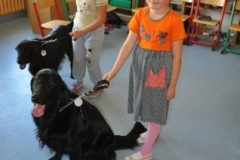 phoca_thumb_l_beachatw-10.2014_000