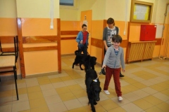 phoca_thumb_l_beachatw-10.2014_004