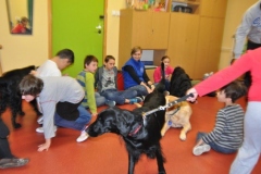 phoca_thumb_l_beachatw-10.2014_006