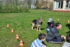 phoca_thumb_l_2012.04.26_2