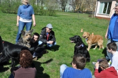 phoca_thumb_l_2012.04.26_4