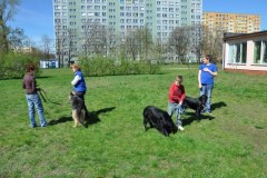 phoca_thumb_l_2012.04.26_8