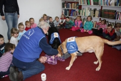 phoca_thumb_l_miejska-biblioteka-publiczna-filia-28-23