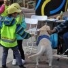 phoca_thumb_m_dzie-przedszkolaka-2013_005