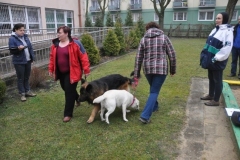 phoca_thumb_l_estonia_002