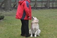 phoca_thumb_l_estonia_004