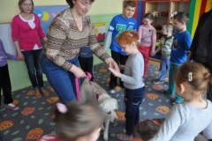 phoca_thumb_l_estonia_011