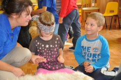 phoca_thumb_l_estonia_3