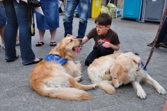 phoca_thumb_l_festiwal-zaczarowana-piosenka_007