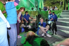 phoca_thumb_l_festiwal-zaczarowana-piosenka_020