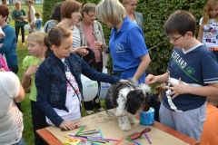 phoca_thumb_l_siemianowice_7