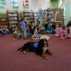 phoca_thumb_m_filia-nr-3-miejskiej-biblioteki-publicznej-d-widzew-19.04.13_004
