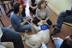 phoca_thumb_l_gimnazjum-24_015