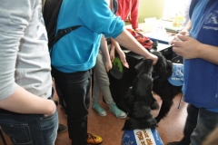phoca_thumb_l_gimnazjum-24_017