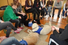 phoca_thumb_l_gimnazjum-24_021