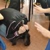 phoca_thumb_m_gimnazjum-24_014