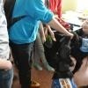 phoca_thumb_m_gimnazjum-24_017