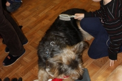 Gwiazdka 2011 Przedszkole Zgierz