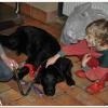 phoca_thumb_m_gwiazdka-w-altamirze_5