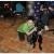 phoca_thumb_s_gwiazdka-w-altamirze_11