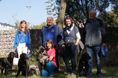 phoca_thumb_l_dsc09919