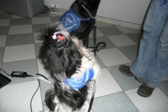 phoca_thumb_l_chorzw-fundacja-dodaj-dzieciom-skrzyde-14