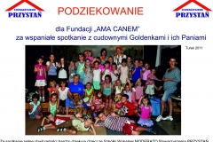 przysta-turek