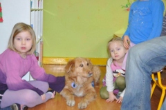 phoca_thumb_l_koliberek-5042012_008