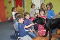 phoca_thumb_l_koliberek-5042012_009