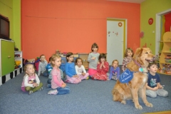 phoca_thumb_l_koliberek-5042012_010