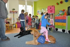 phoca_thumb_l_koliberek-5042012_011