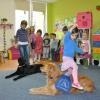 phoca_thumb_m_koliberek-5042012_011