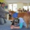 phoca_thumb_m_koliberek-5042012_014