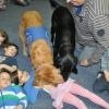 phoca_thumb_m_koliberek-5042012_015