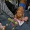 phoca_thumb_m_koliberek-5042012_016