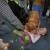 phoca_thumb_s_koliberek-5042012_016